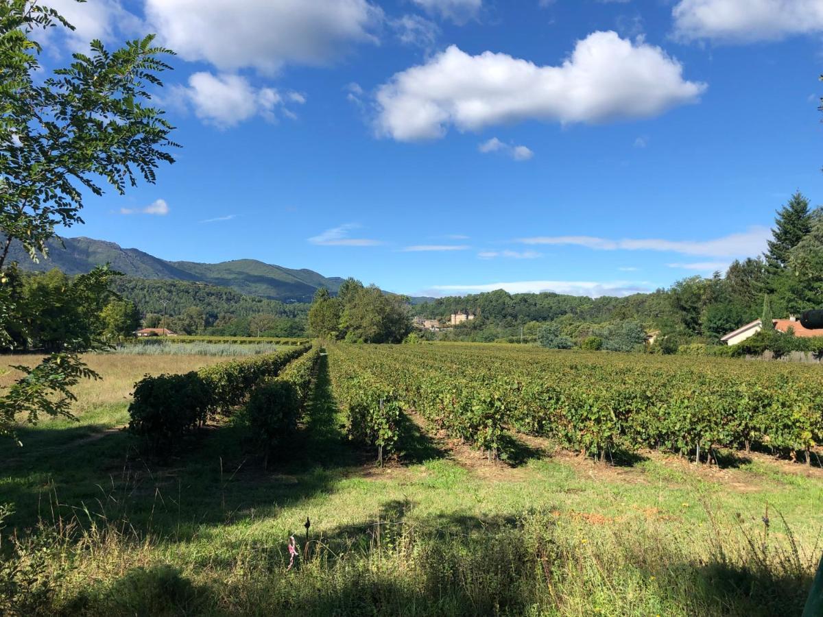 Terres De France - Le Domaine Des Vans Chambonas Exterior foto