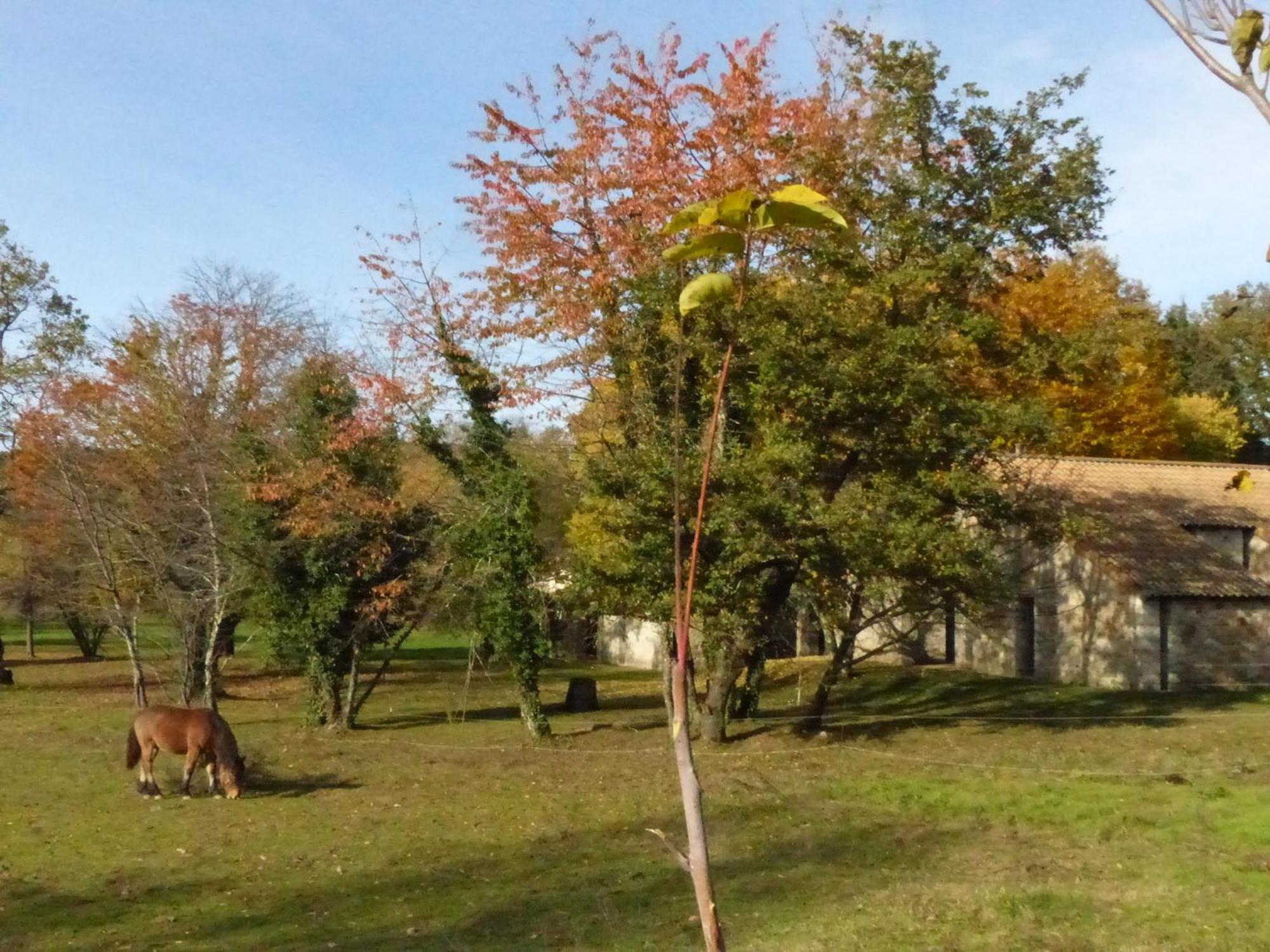 Terres De France - Le Domaine Des Vans Chambonas Exterior foto