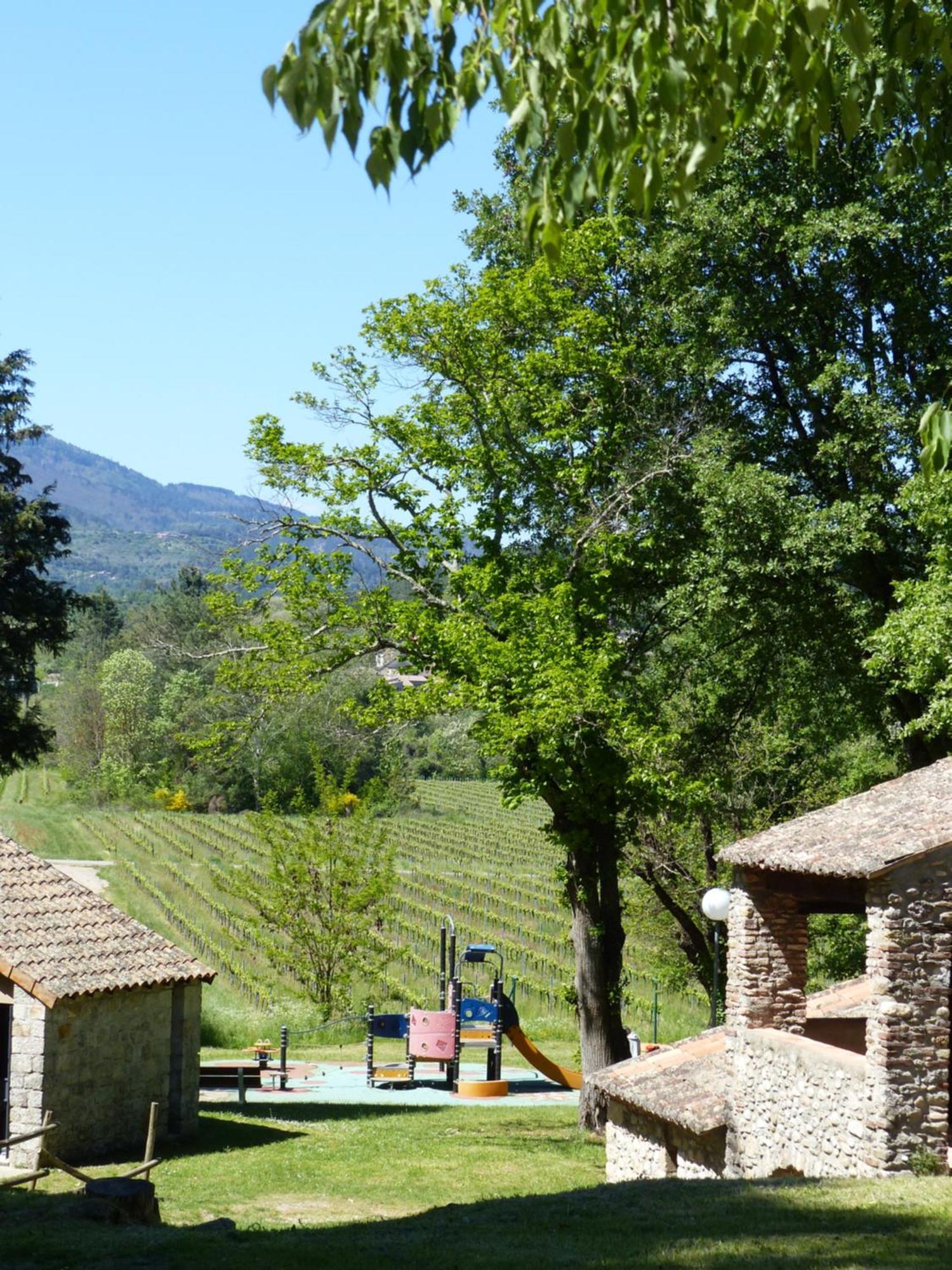 Terres De France - Le Domaine Des Vans Chambonas Exterior foto